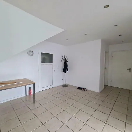 Simplistic In Near Forest