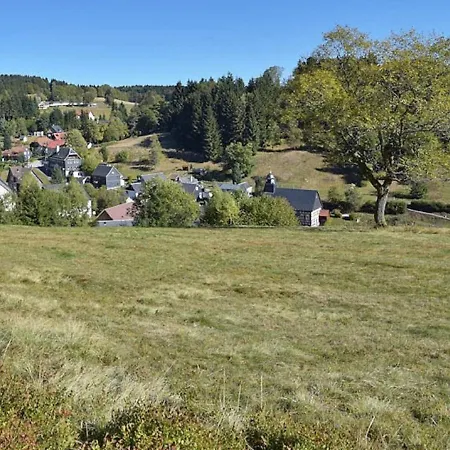 Simplistic In Near Forest *